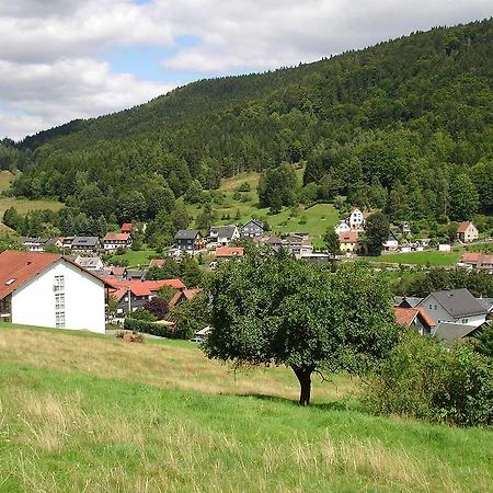 Hotel Muehlbergblick Mengersgereuth-Hammern Esterno foto